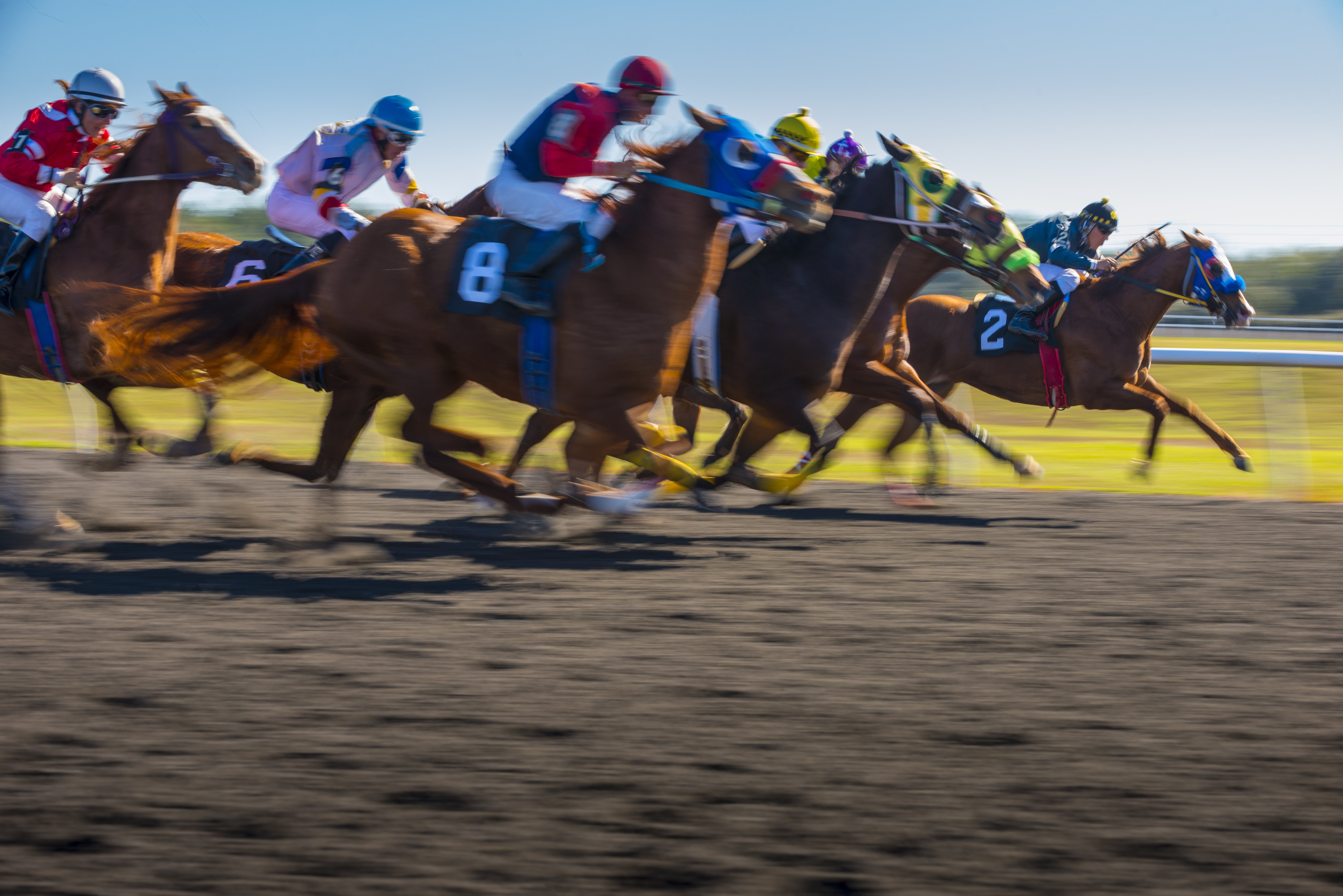 Horse race