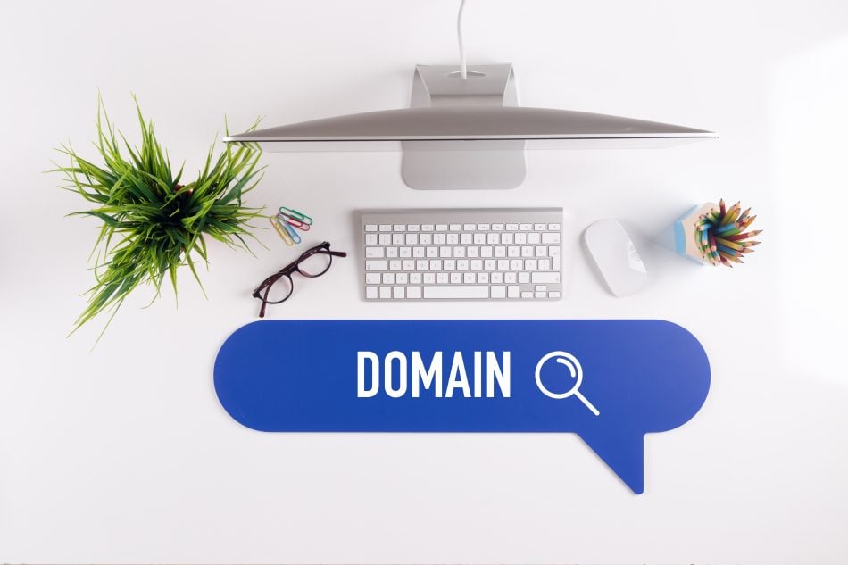 Search for domain