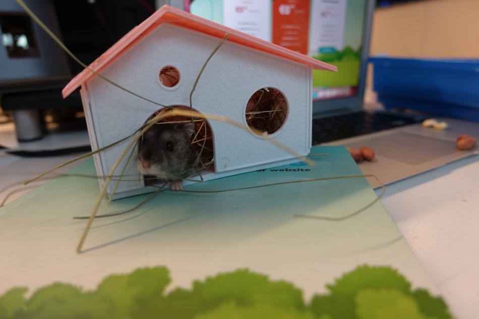 Hostens Hamster Home