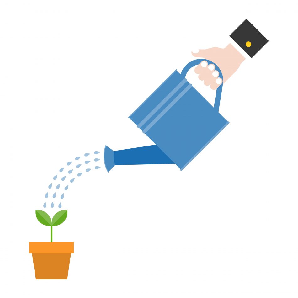 Fast website optimization